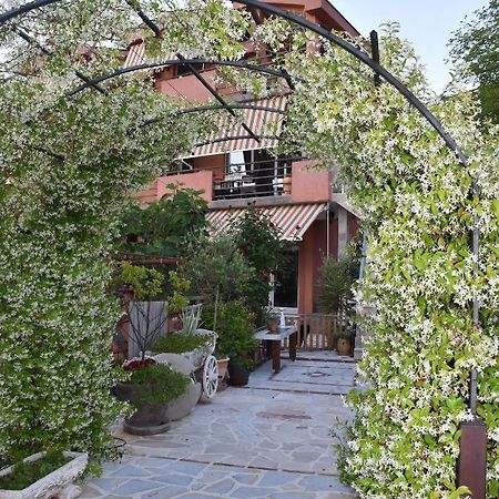 Apartments Scepanovic Tivat Bagian luar foto