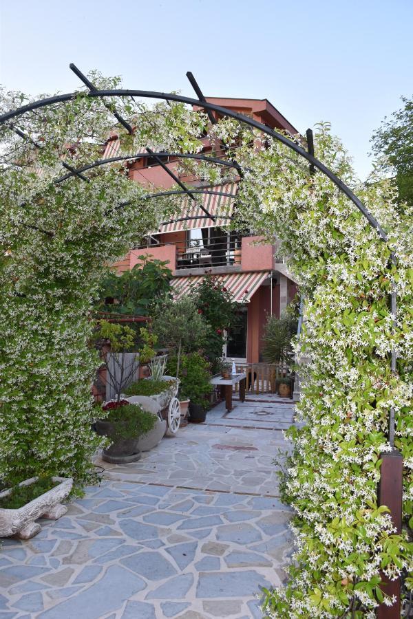 Apartments Scepanovic Tivat Bagian luar foto