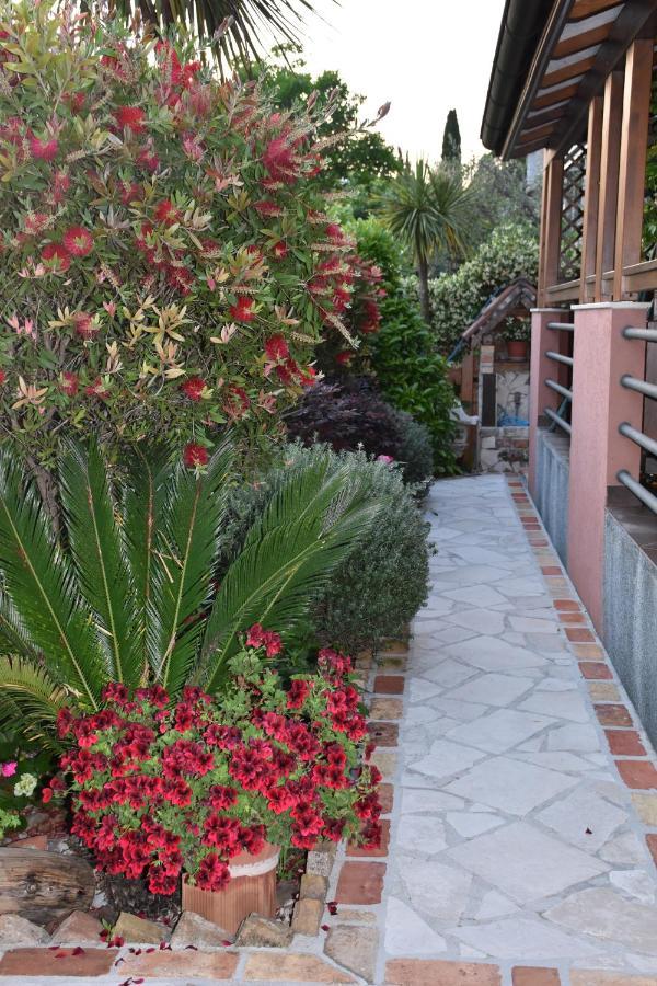 Apartments Scepanovic Tivat Bagian luar foto