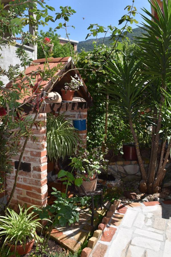 Apartments Scepanovic Tivat Bagian luar foto