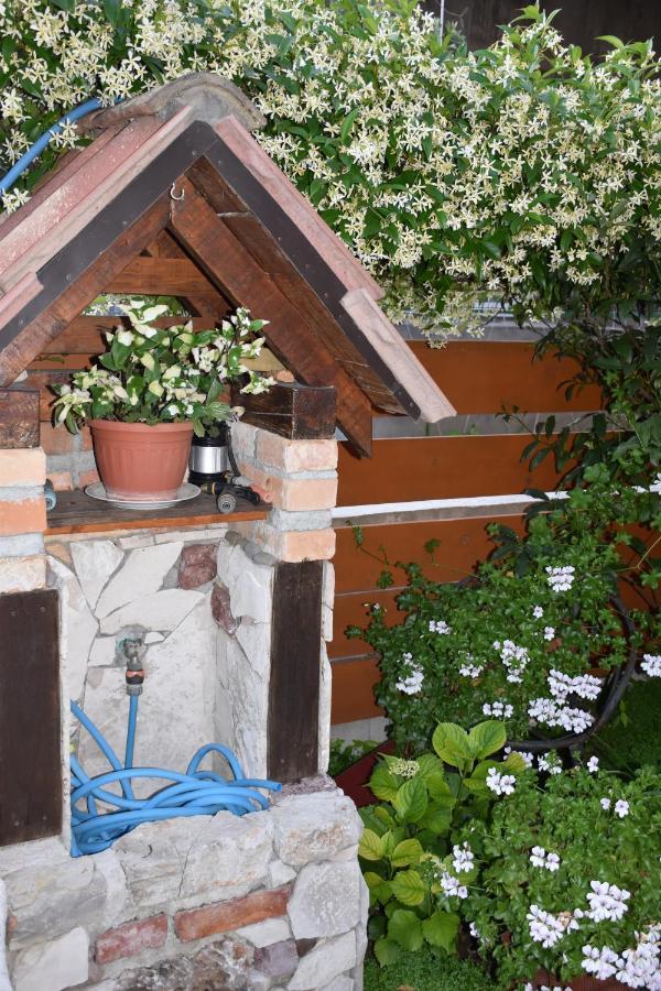 Apartments Scepanovic Tivat Bagian luar foto