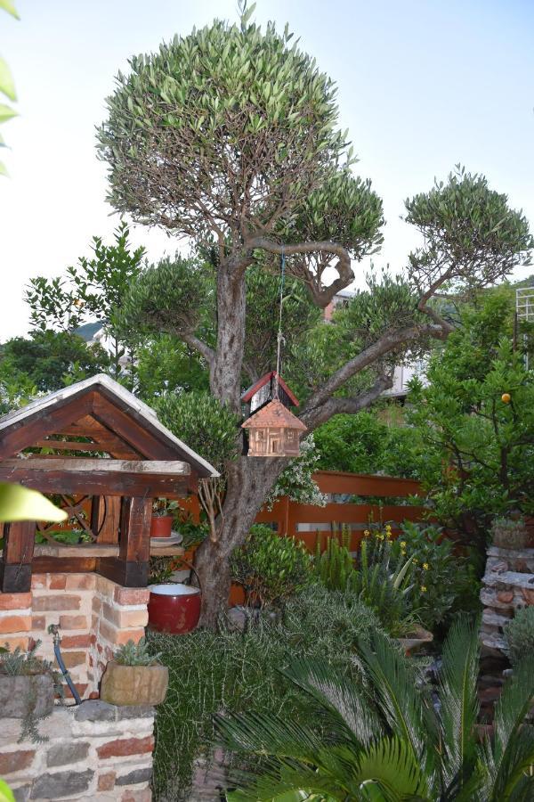 Apartments Scepanovic Tivat Bagian luar foto